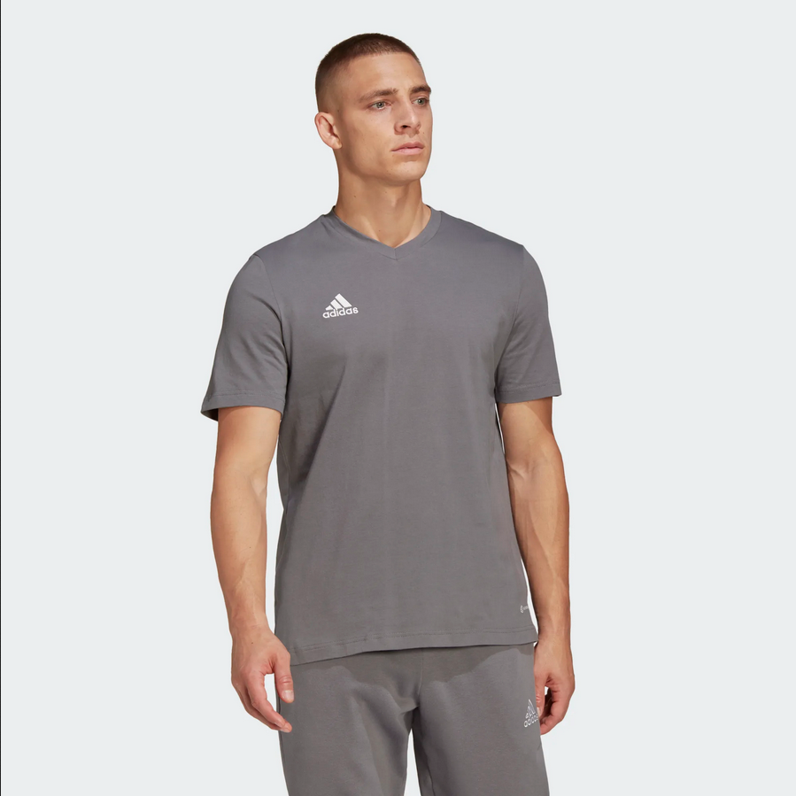 Adidas entrada 22 T-Shirt grijs