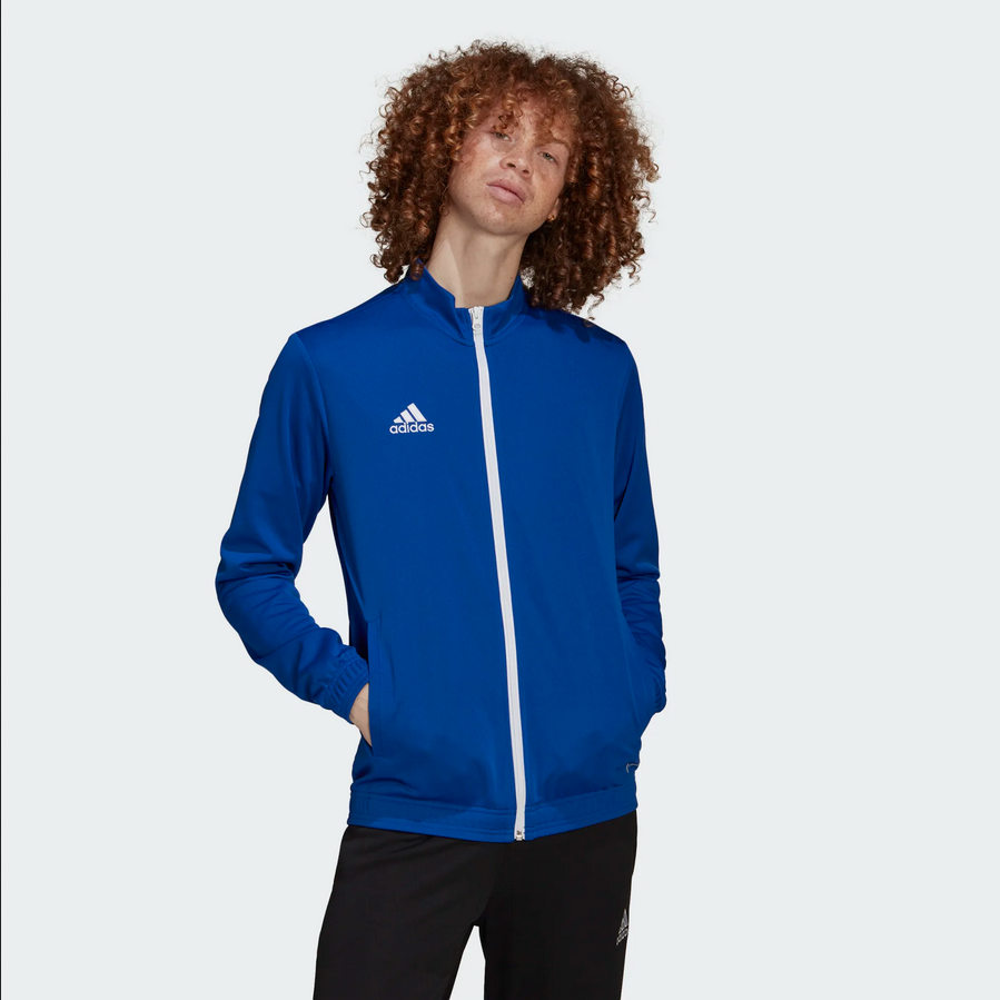 Adidas Entrada 22 gilet Royal Blue