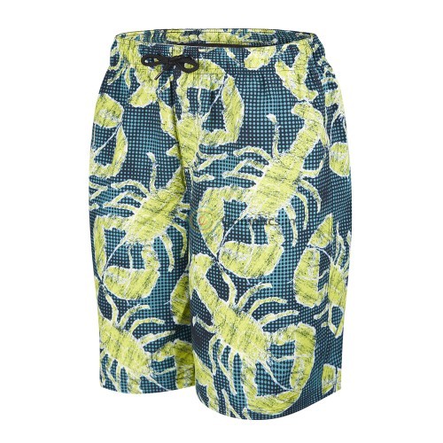 Speedo zwemshort heren Printed Leisure